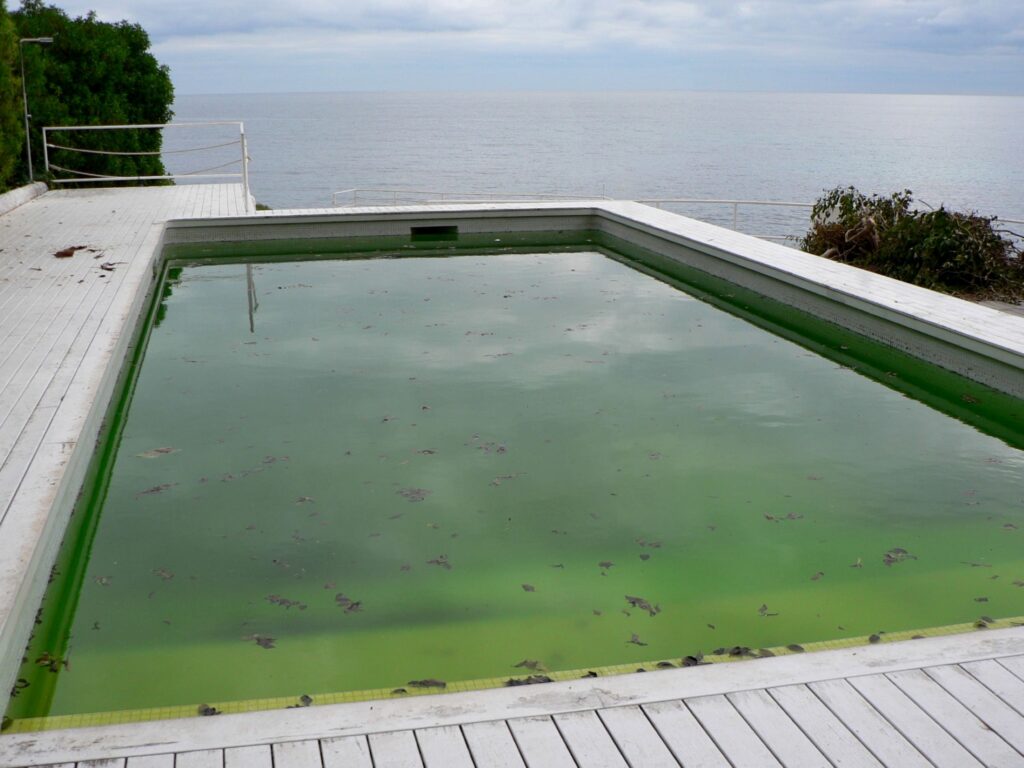 piscine verte algues vertes traitement chlore