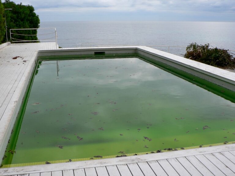 piscine verte algues vertes traitement chlore