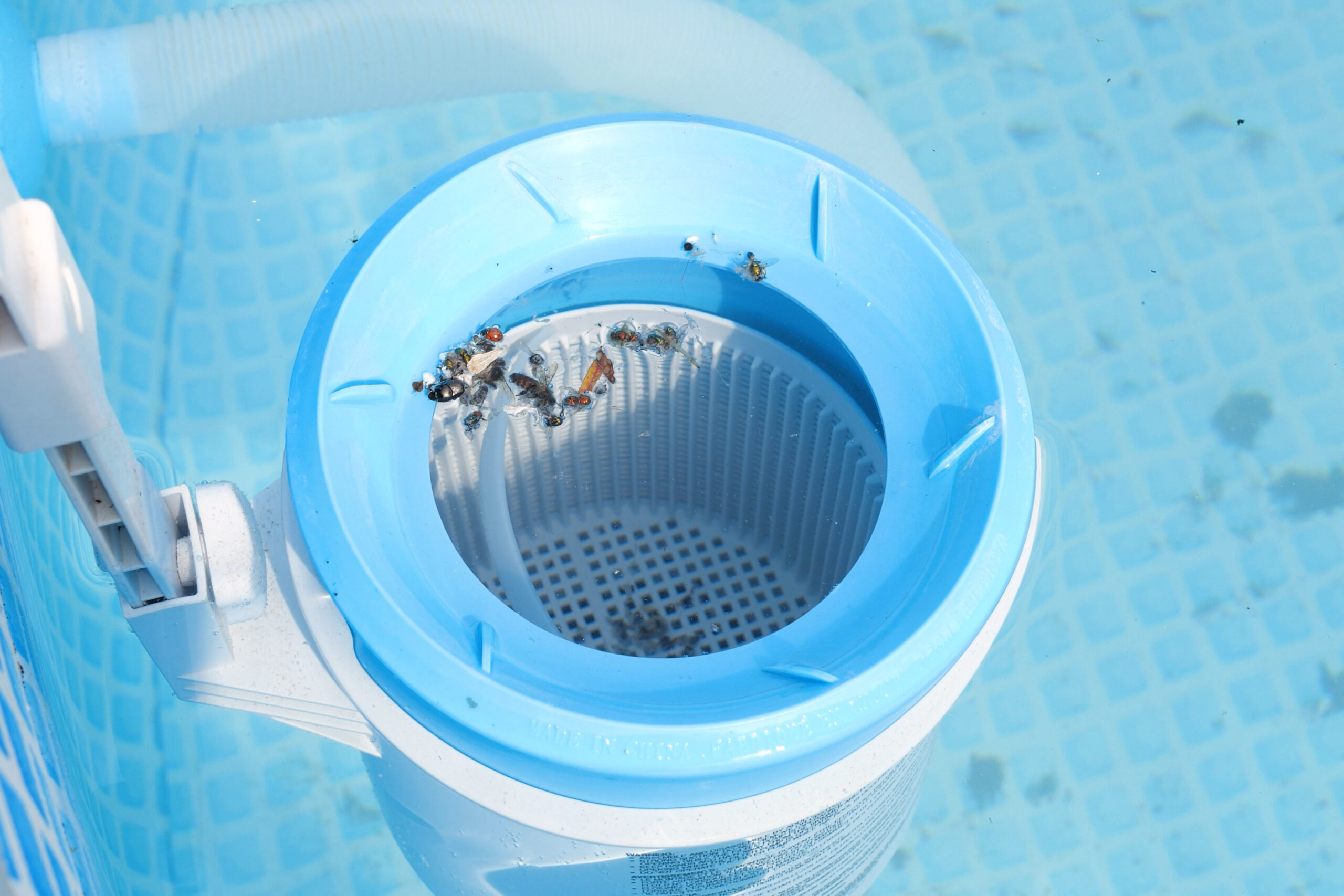 Filtration piscine problème solution